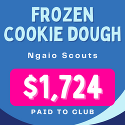 illustration showing ngaio scouts cookie dough fundraiser profits