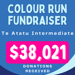 image shows the fundraising results for Te Atatu Intermediate school colour run